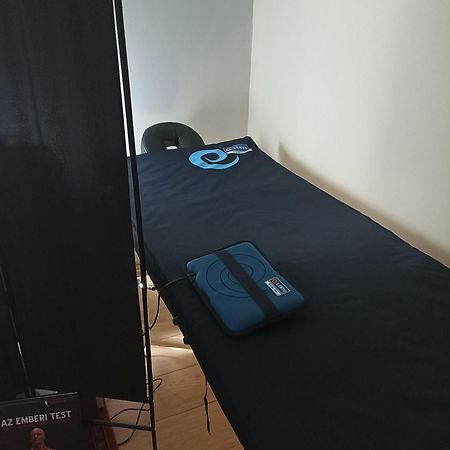 Ginkgo Apartman Demjén Buitenkant foto