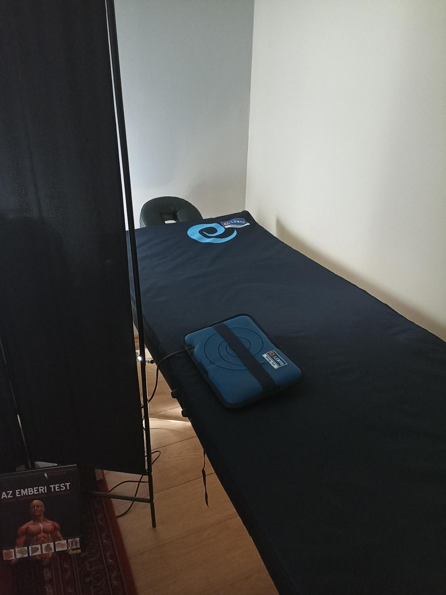 Ginkgo Apartman Demjén Buitenkant foto