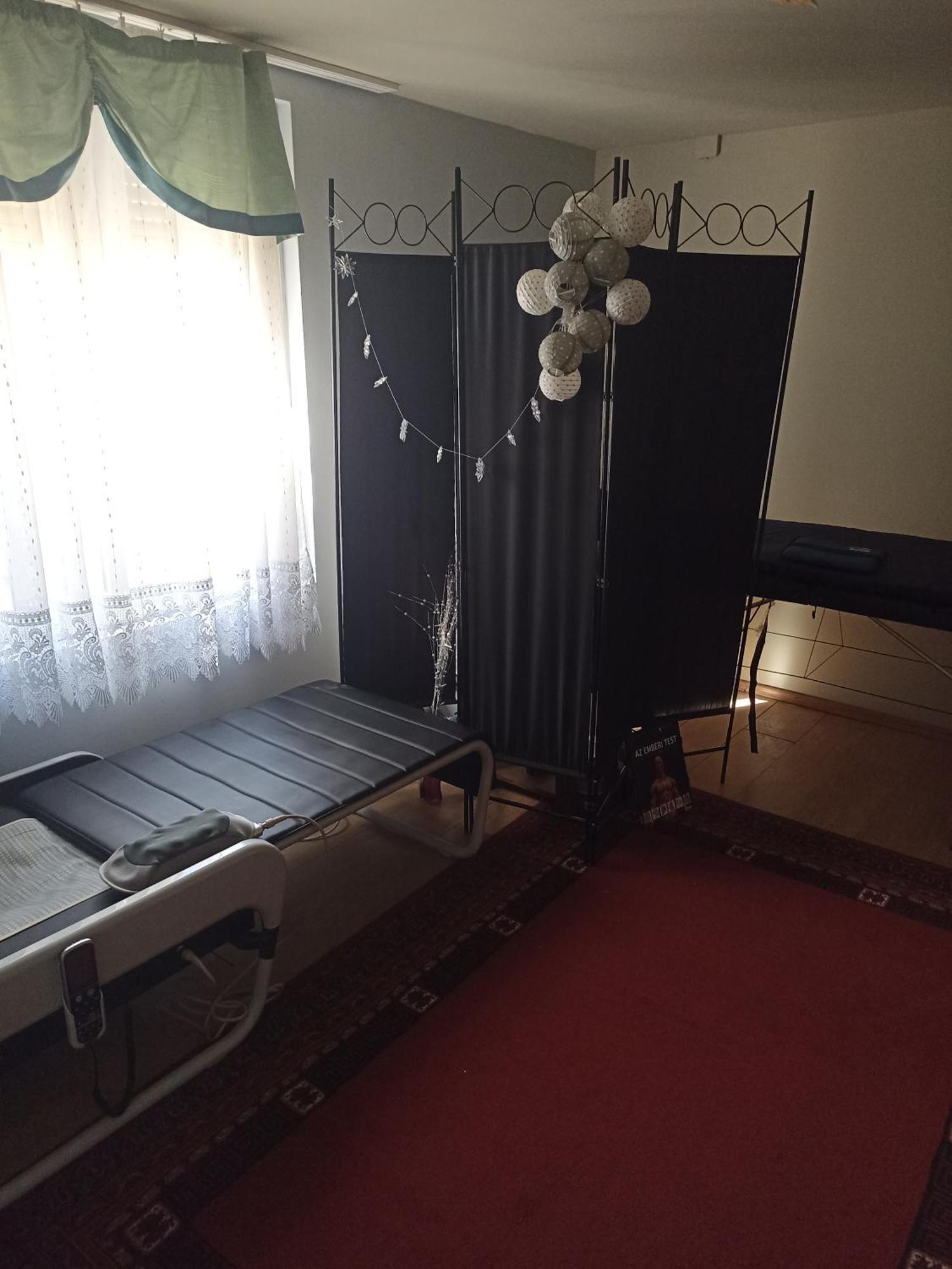 Ginkgo Apartman Demjén Buitenkant foto