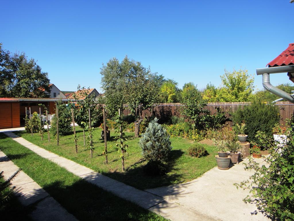 Ginkgo Apartman Demjén Buitenkant foto